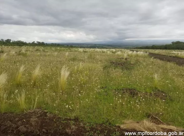 Estafa con lotes en Calamuchita (MPF Córdoba)