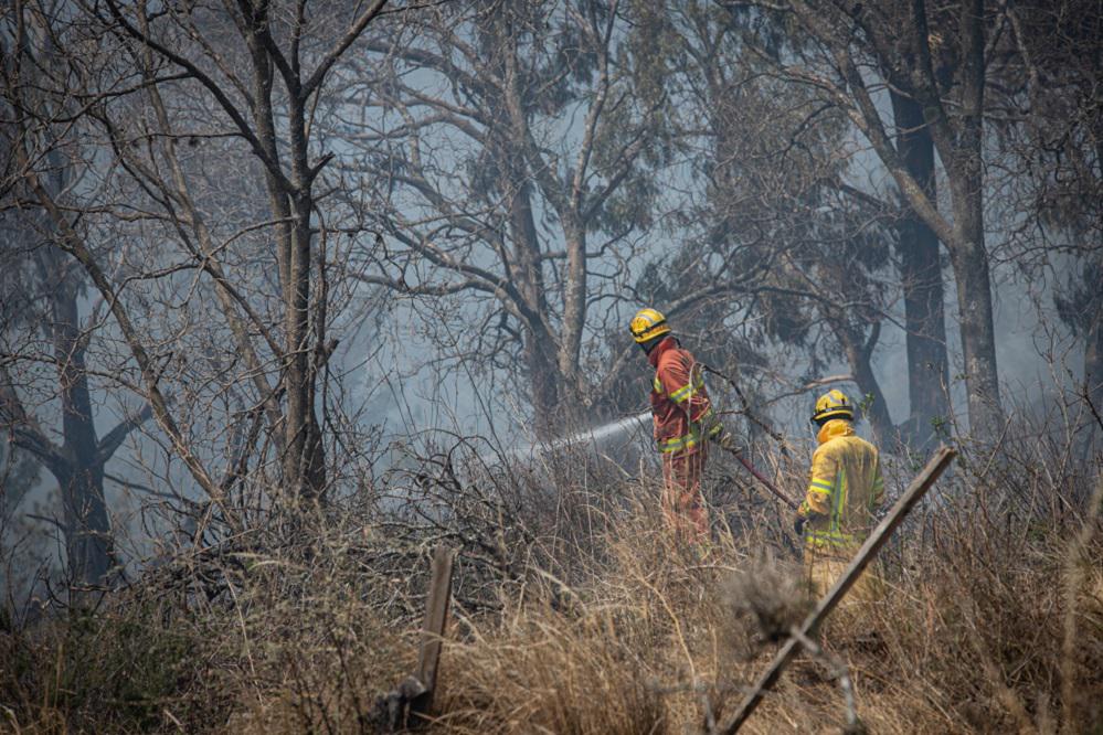 incendios gobdecba