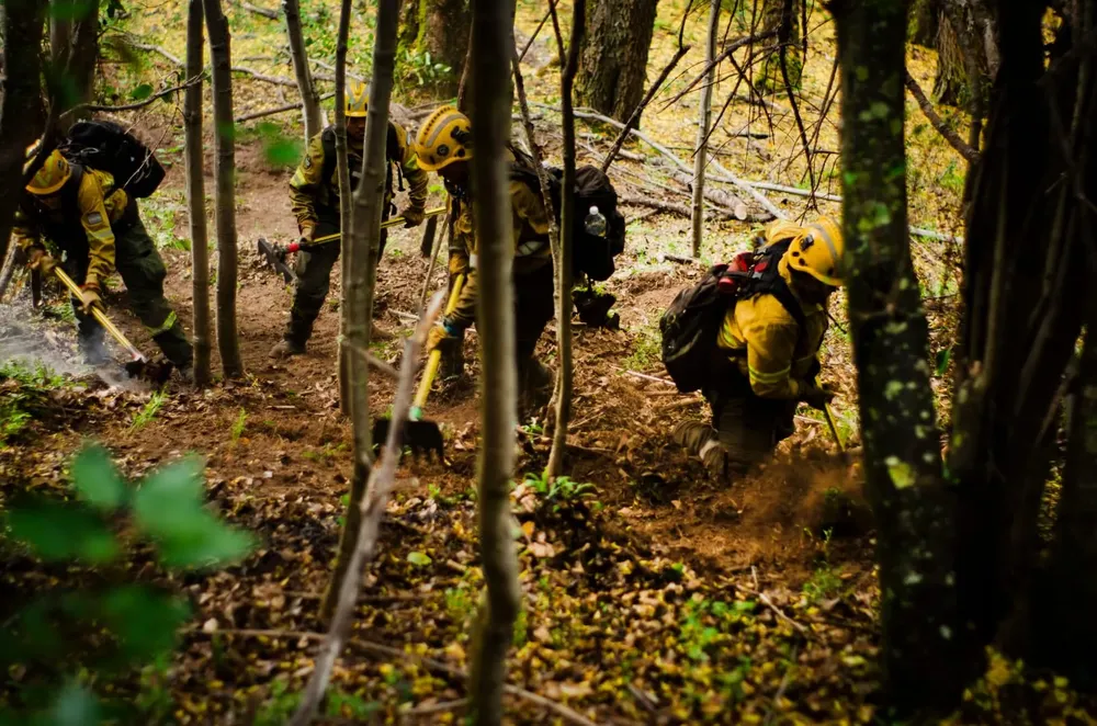 Incendios en la Patagonia by @MinSeguridad_Ar