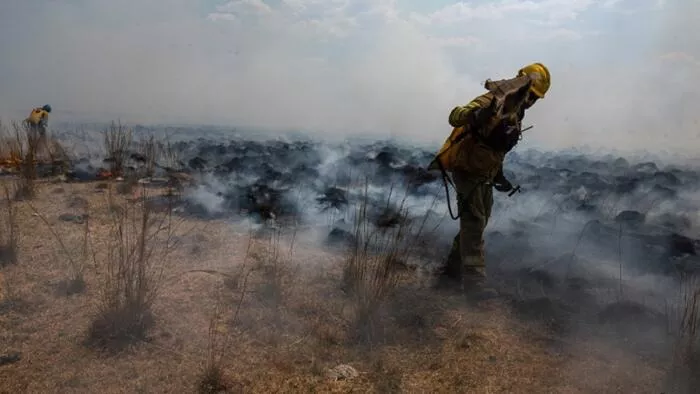 incendios telam