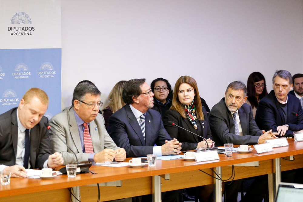 Comision Bicameral
