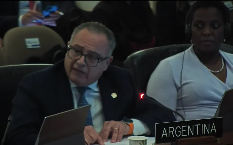Carlos Cherniak en la OEA (captura)