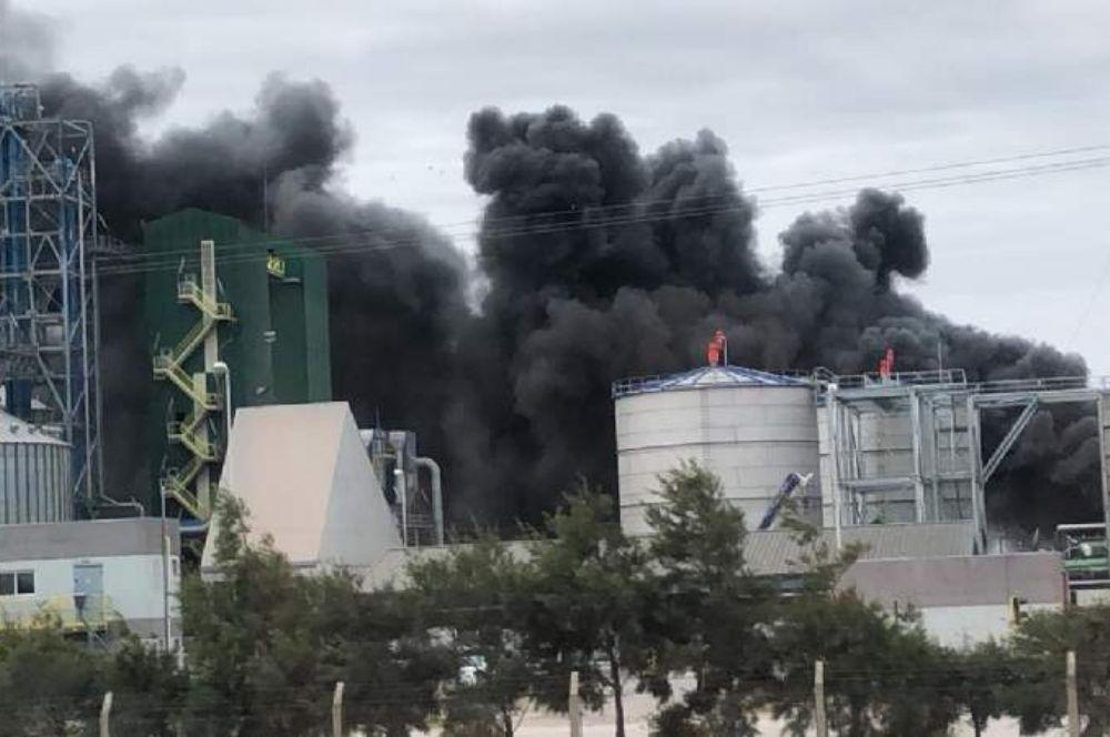 Incendio AcaBio El Diaro del Centro del País