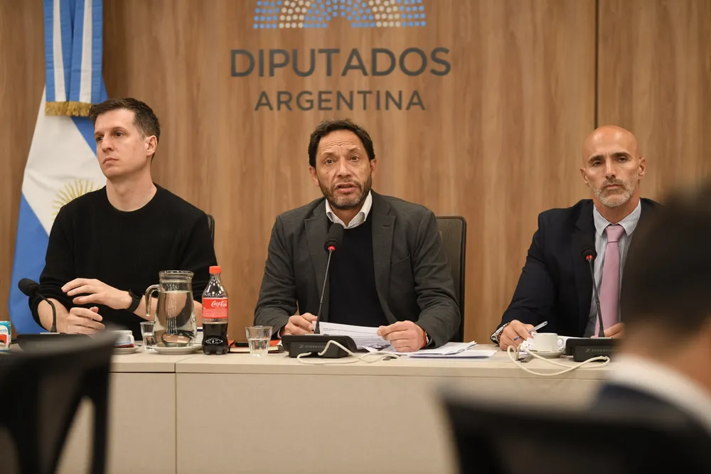 Comisión Libra en Diputados (X de Diputados)