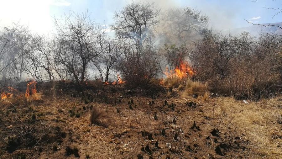 incendio en cosquin