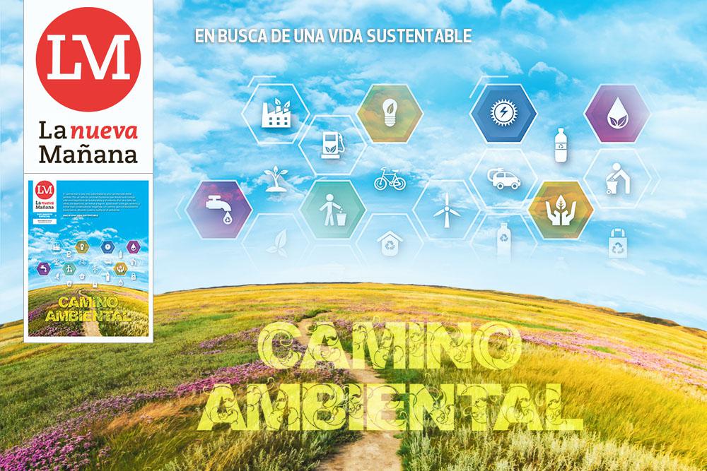 Suple 25 - Vida Sustentable XV - Sum