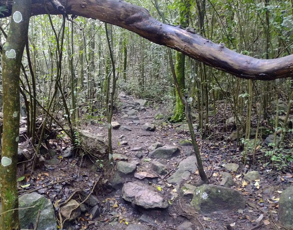 cascada de los condores 30