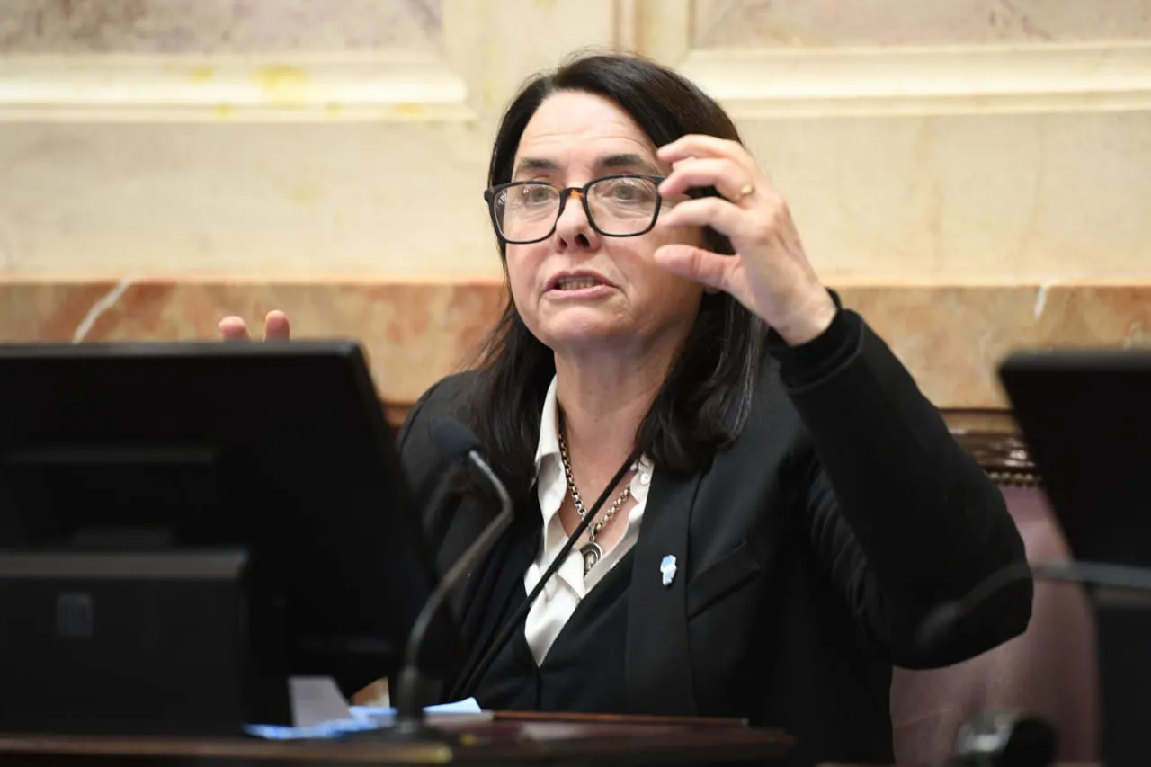 Carmen Álvarez ley Bases by @Senado Argentina