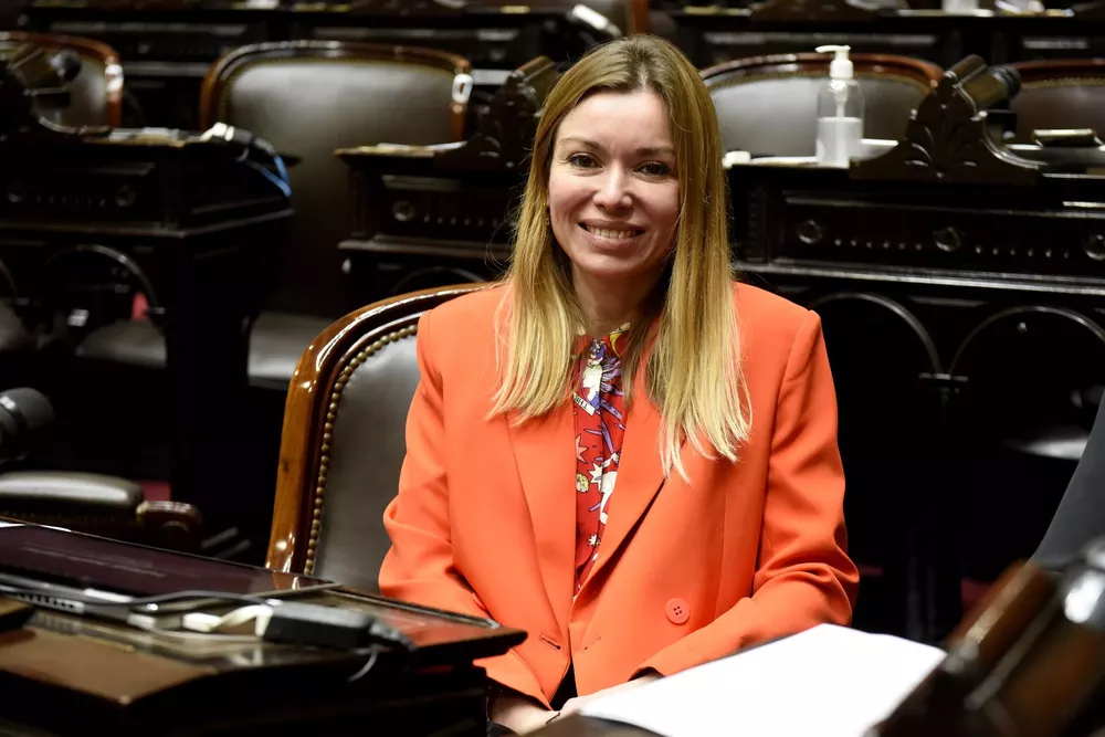 Gabriela Estévez en la Cámara de Diputados (Twitter Gabriela Estévez)