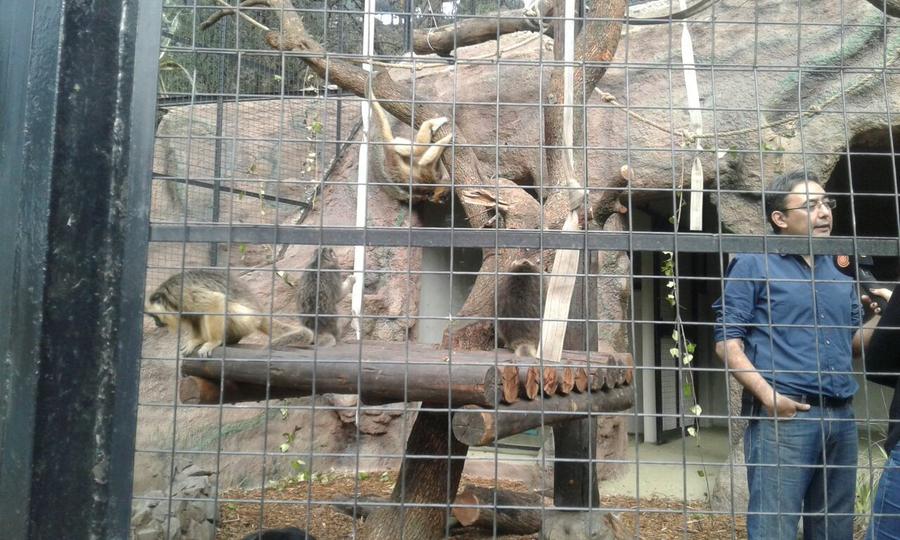 zoo dos