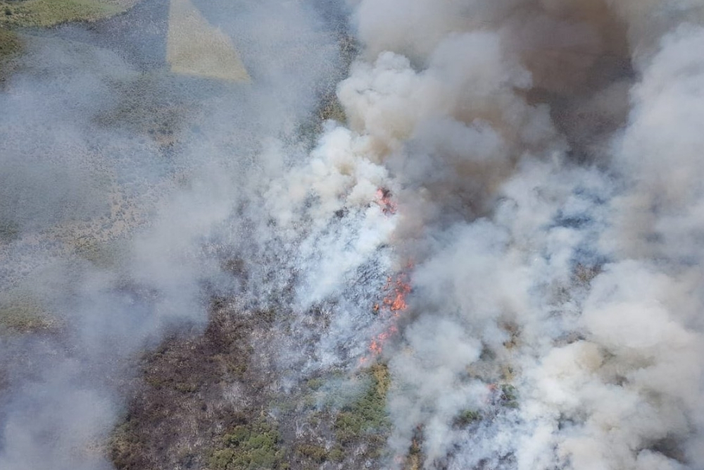 Incendio Alto del Durazno Salsacate