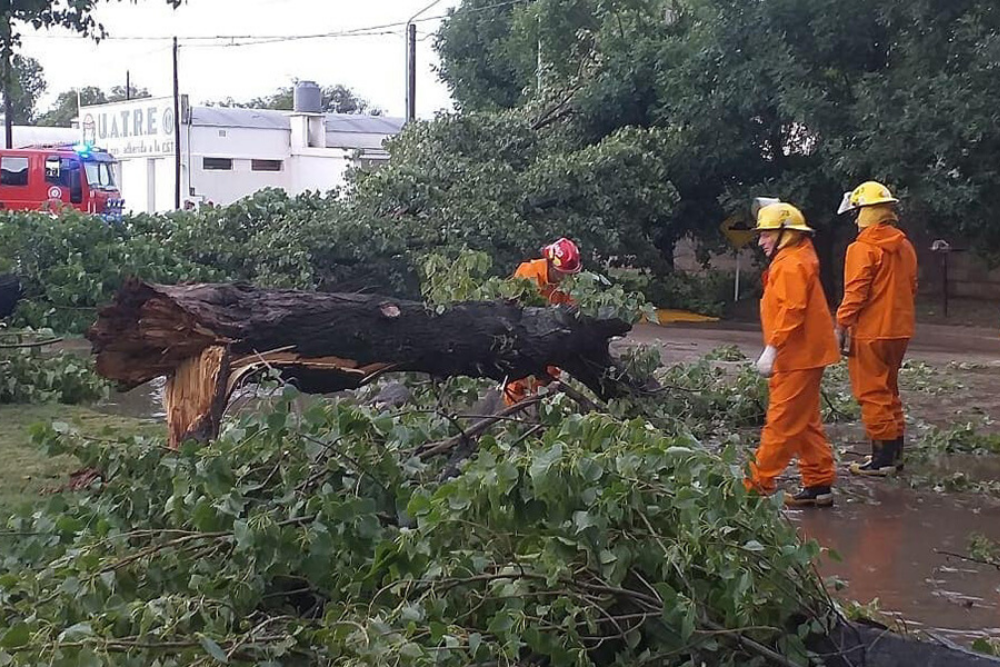 Temporal en coronel moldes2