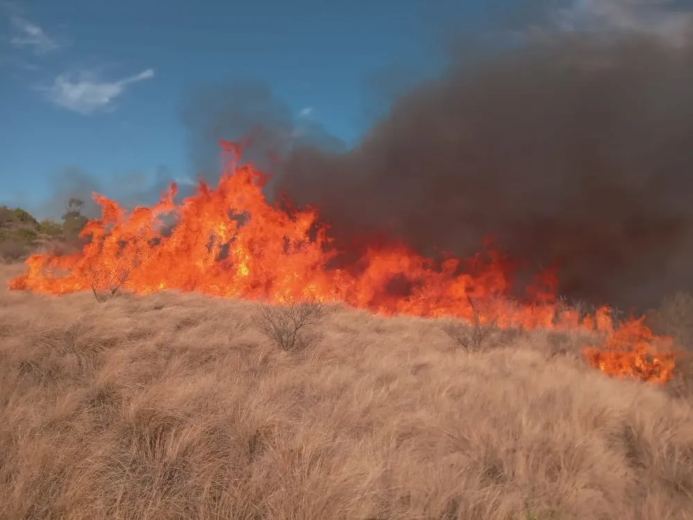 EStancia La Paz incendio prensa.cba