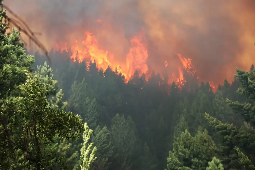 Incendio en Epuyén (Info Chucao3)