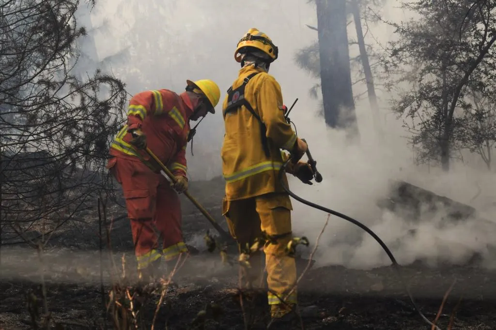 Incendios forestales (Gobierno de Córdoba) 8