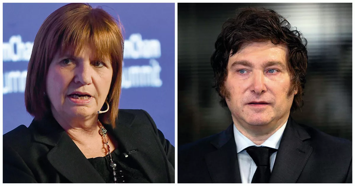 Bullrich + Milei @ NA