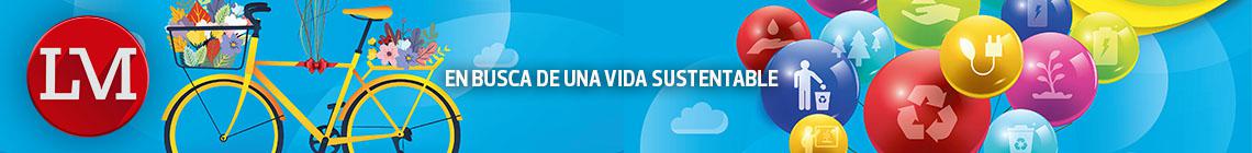 Suple 17 - Vida Sustentable VII