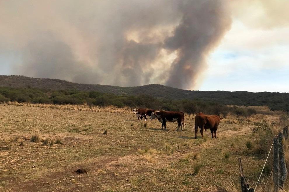 incendios norte
