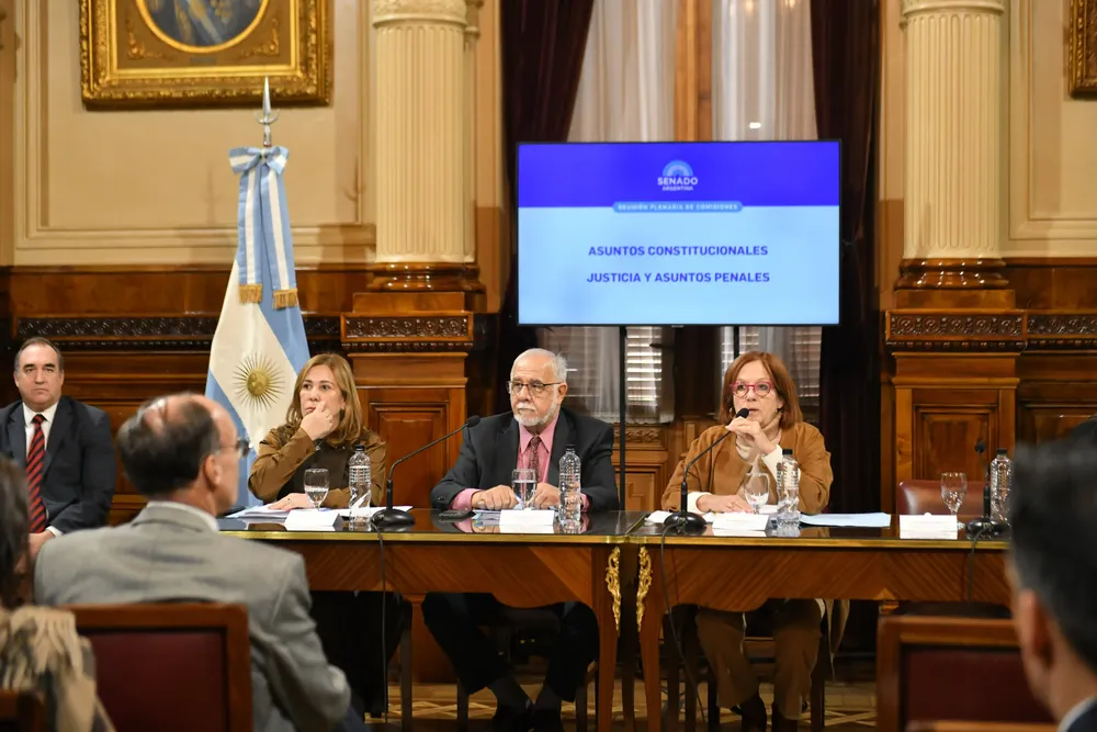 senado comisión vigo na
