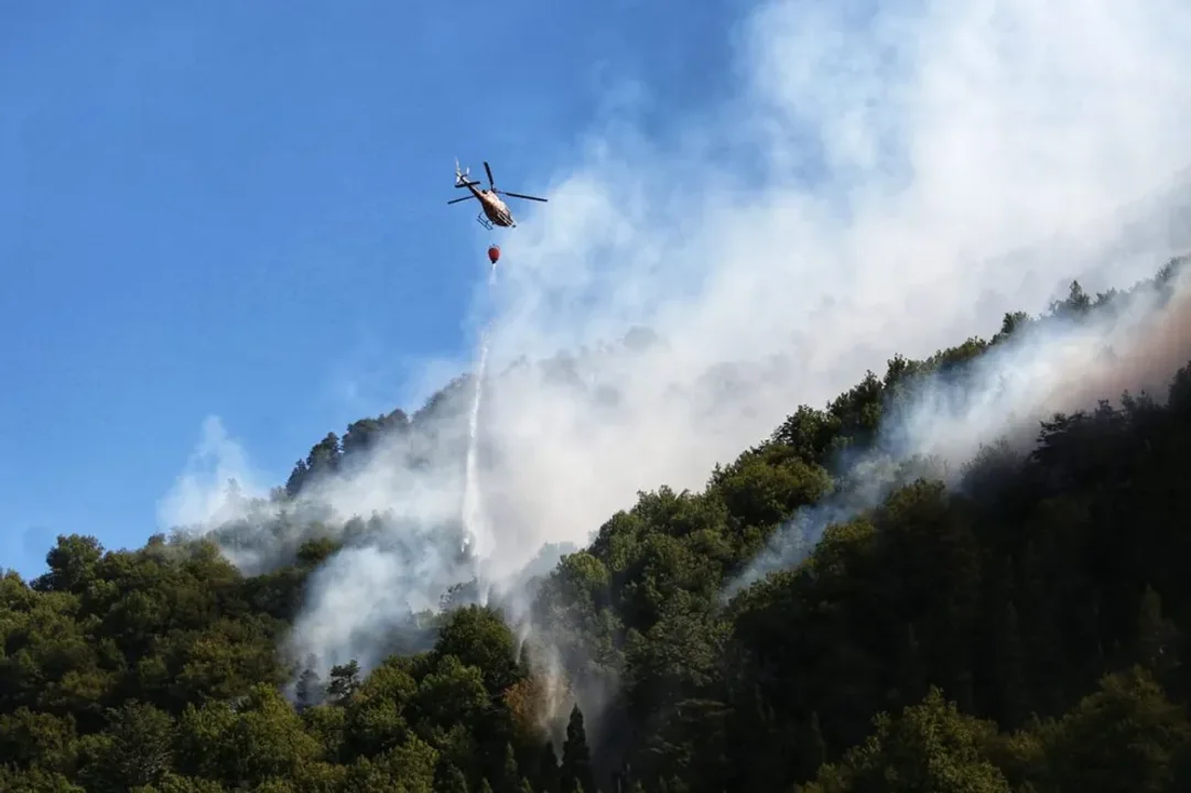 Incendios en Neuquén by NA