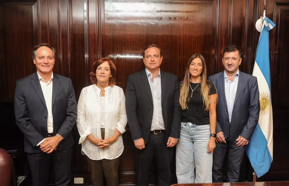 Senado