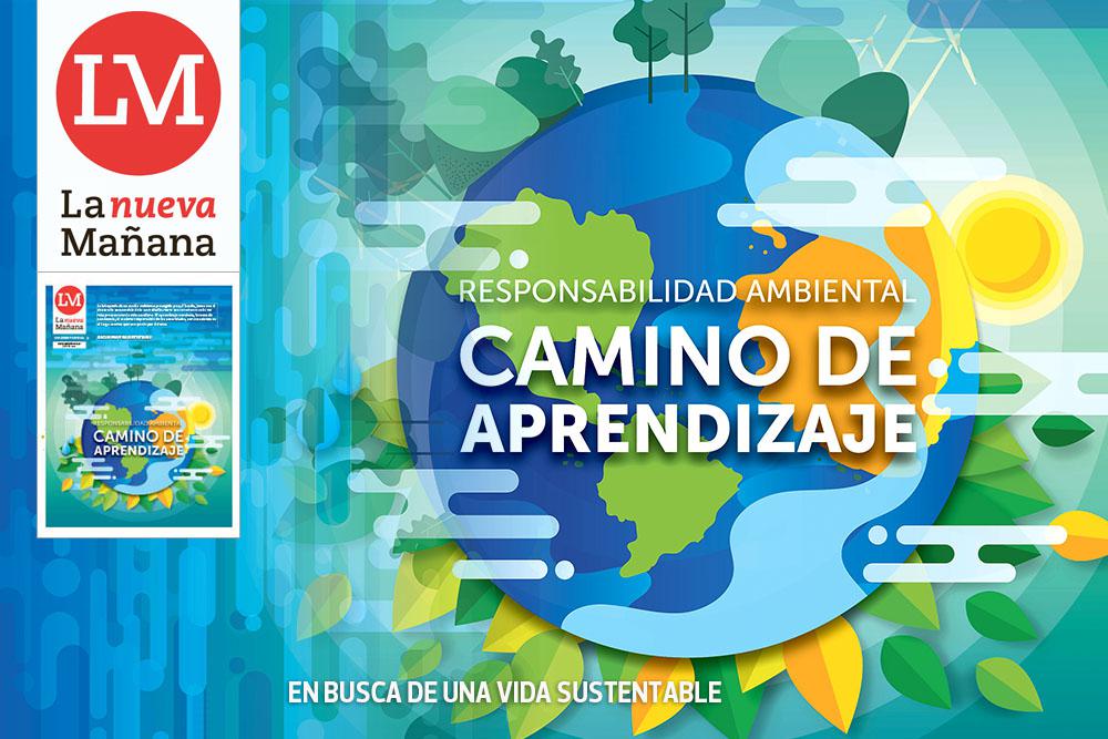 Suple 21 - Vida Sustentable XI - Sum