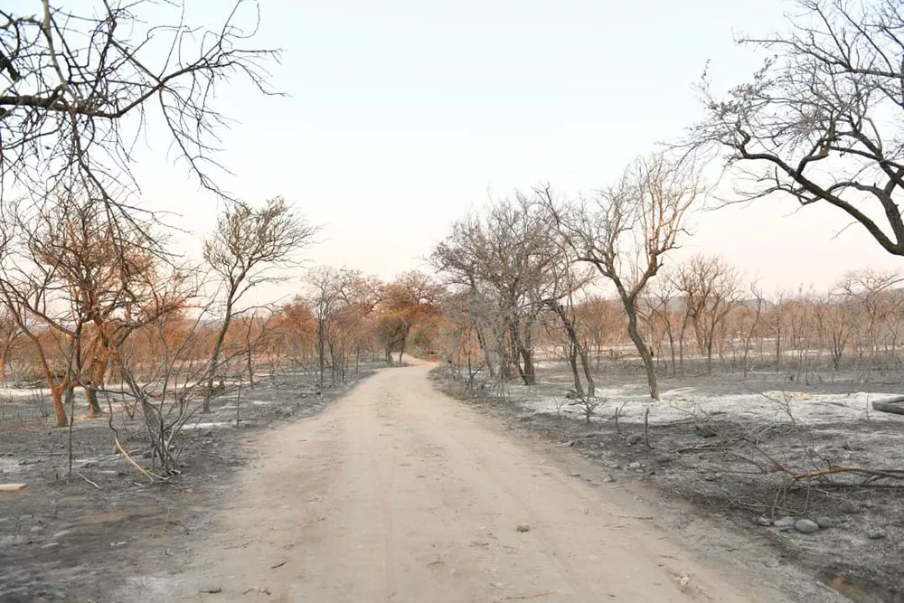 incendio san marcos (3)