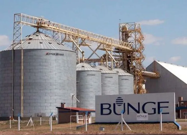bunge cerealera