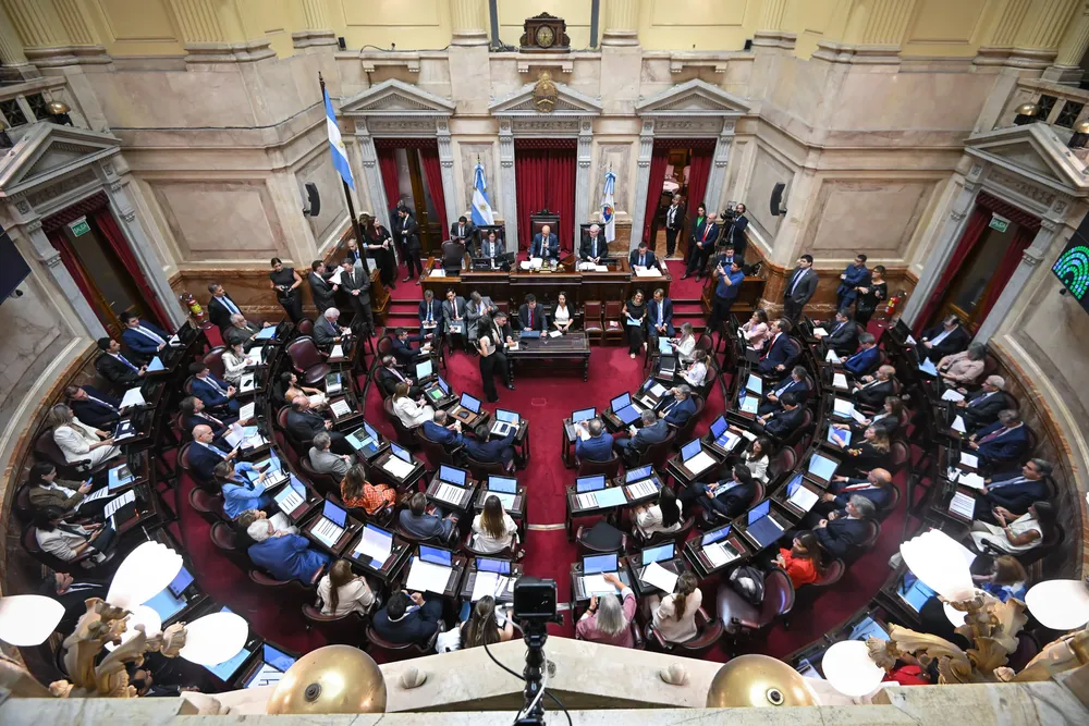 senado by x 1