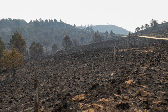 Incendios forestales 2 by @gobdecordoba