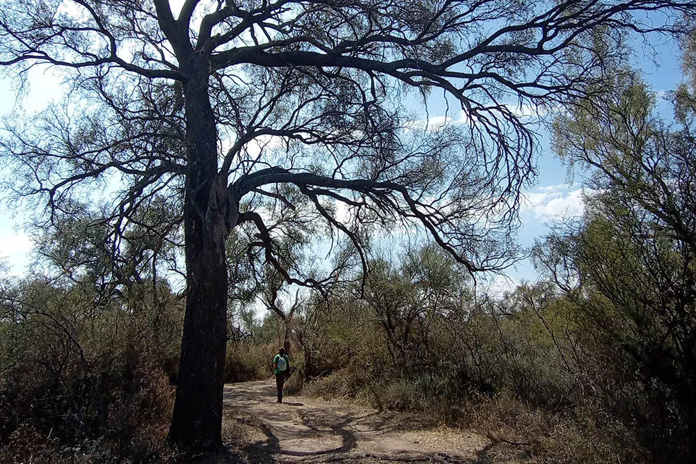 Las calles que permiten recorrer y apreciar los ecosistemas de la Reserva Chancaní.