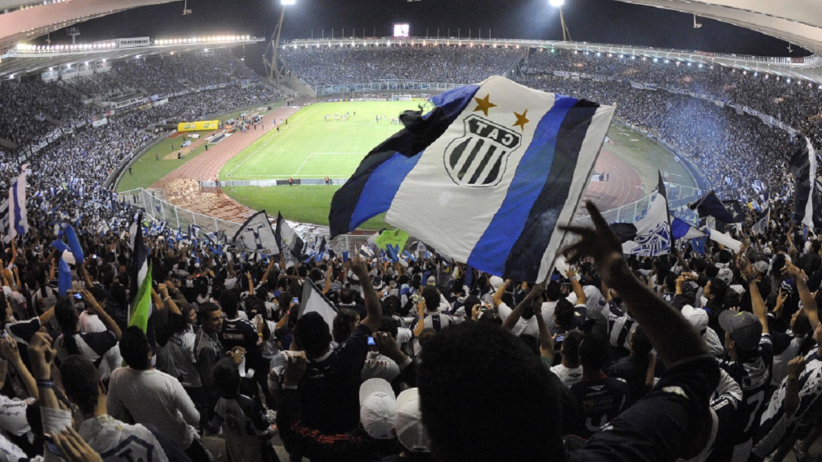 tall hinchas