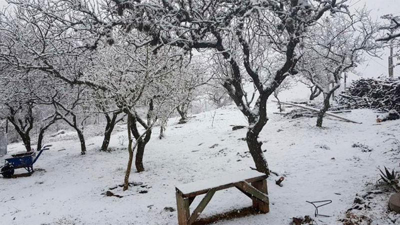 el puntal nieve 7