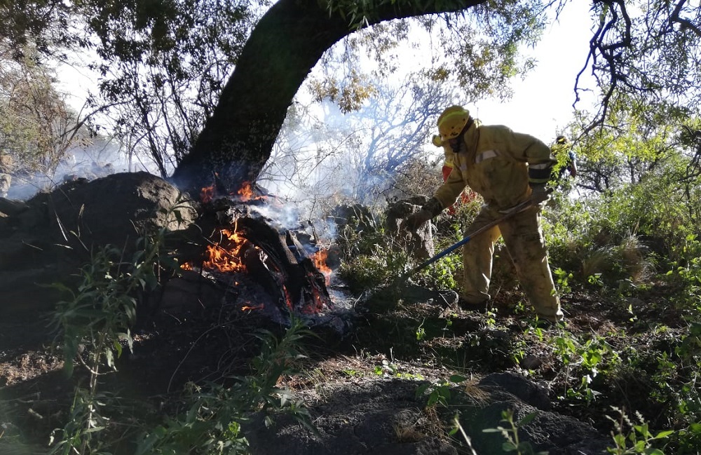 Incendio en Las Calles Claudio Vignetta
