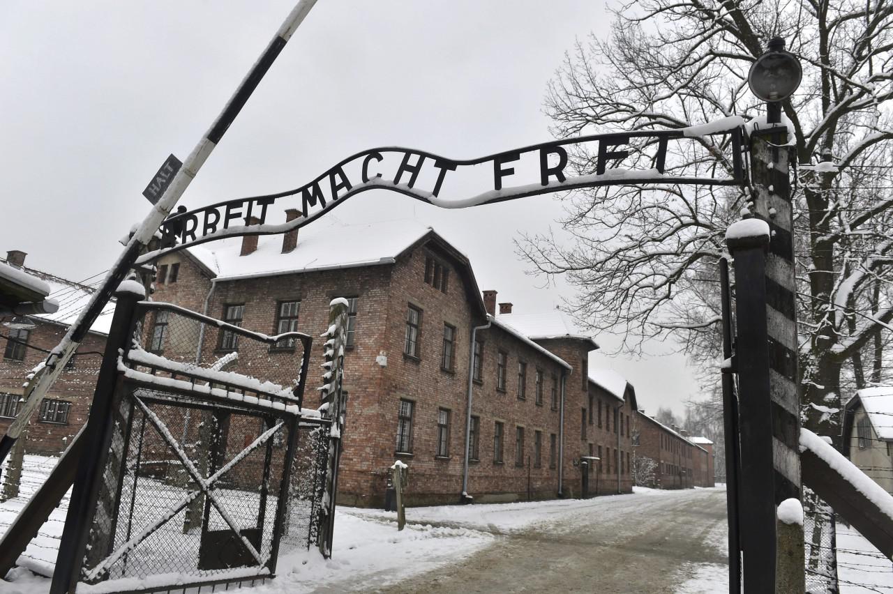 holocausto by gentileza