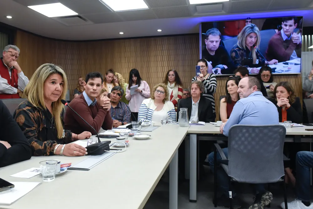 Comisión investigadora fentanilo (Diputados)