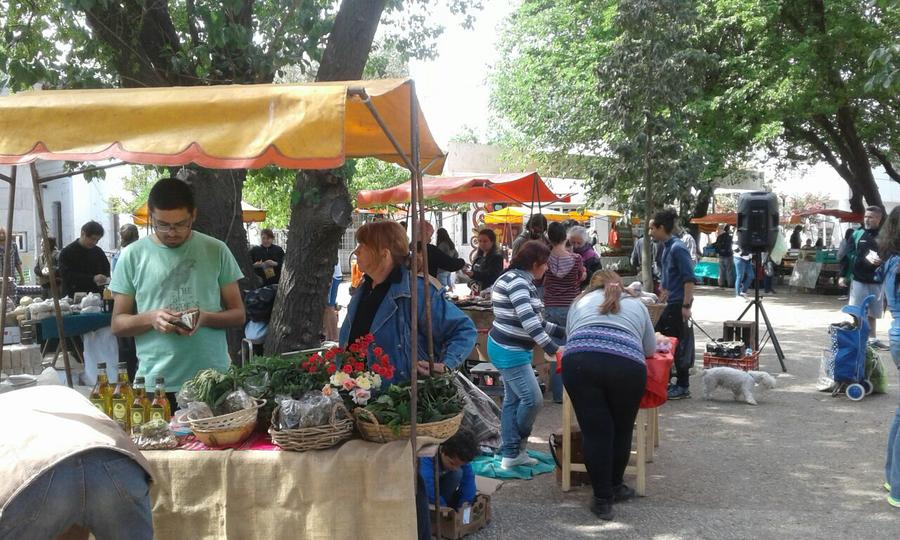 feria agroecología