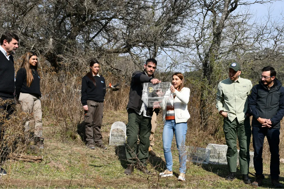 Liberan aves en La Calera (Gobierno de Córdoba)