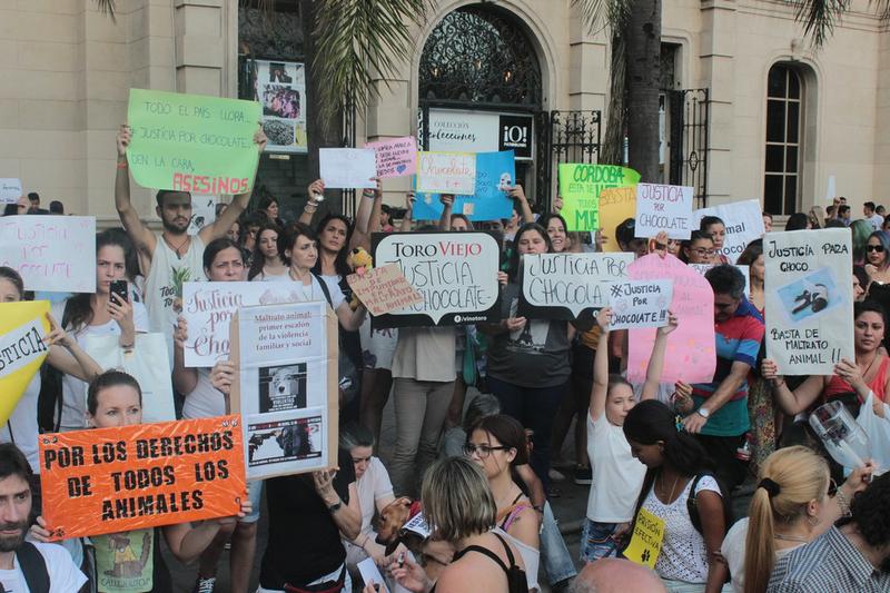 FOTO MARCHA CHOCOLATE 1