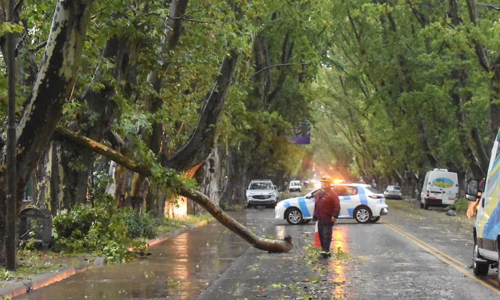 Destrozos del temporal en Colonia Caroya (FM Comunicar) 1