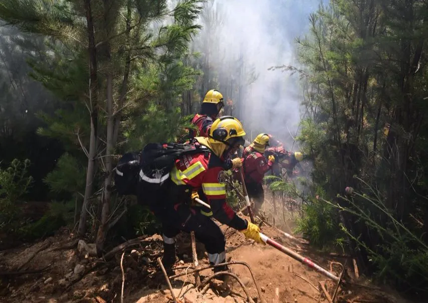 Incendio en el Parque Nacional Los Alerces (Gobierno de Chubut)