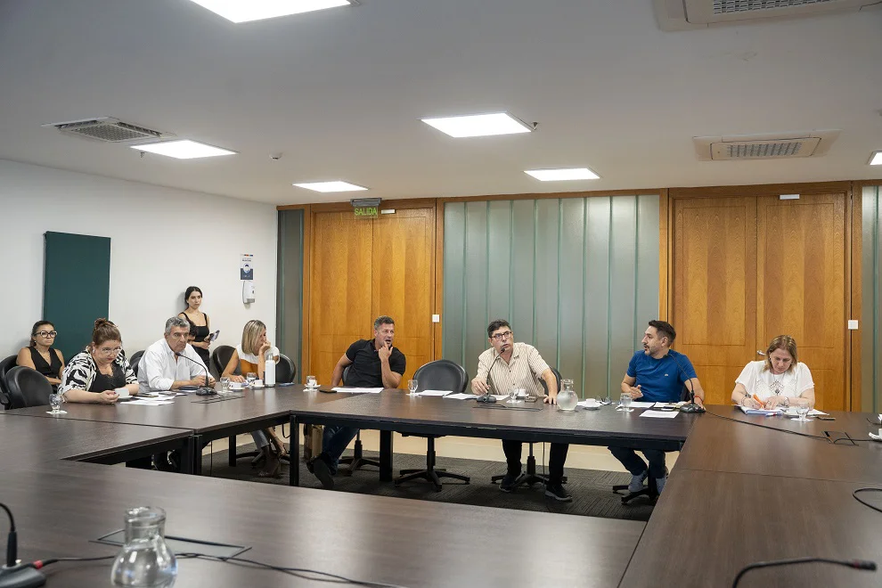 Comisión conjunta (Legislatura)