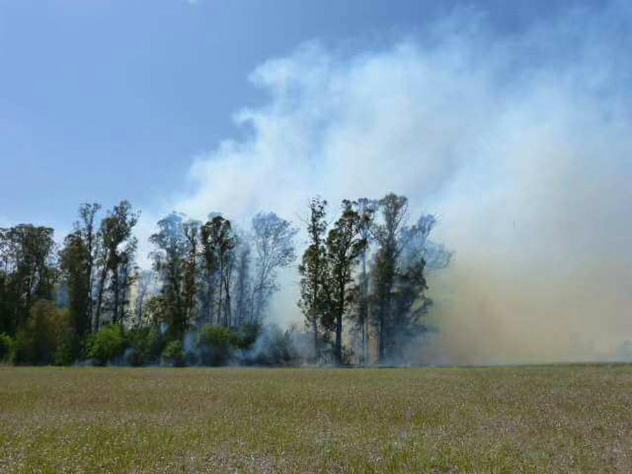 incendio tres acequias2