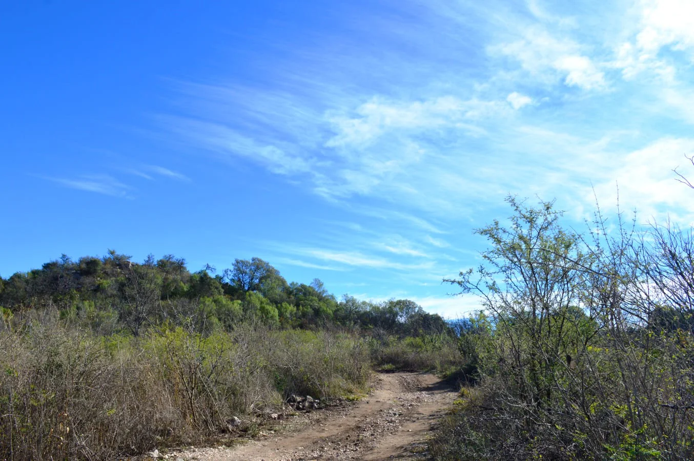 cascada seca3