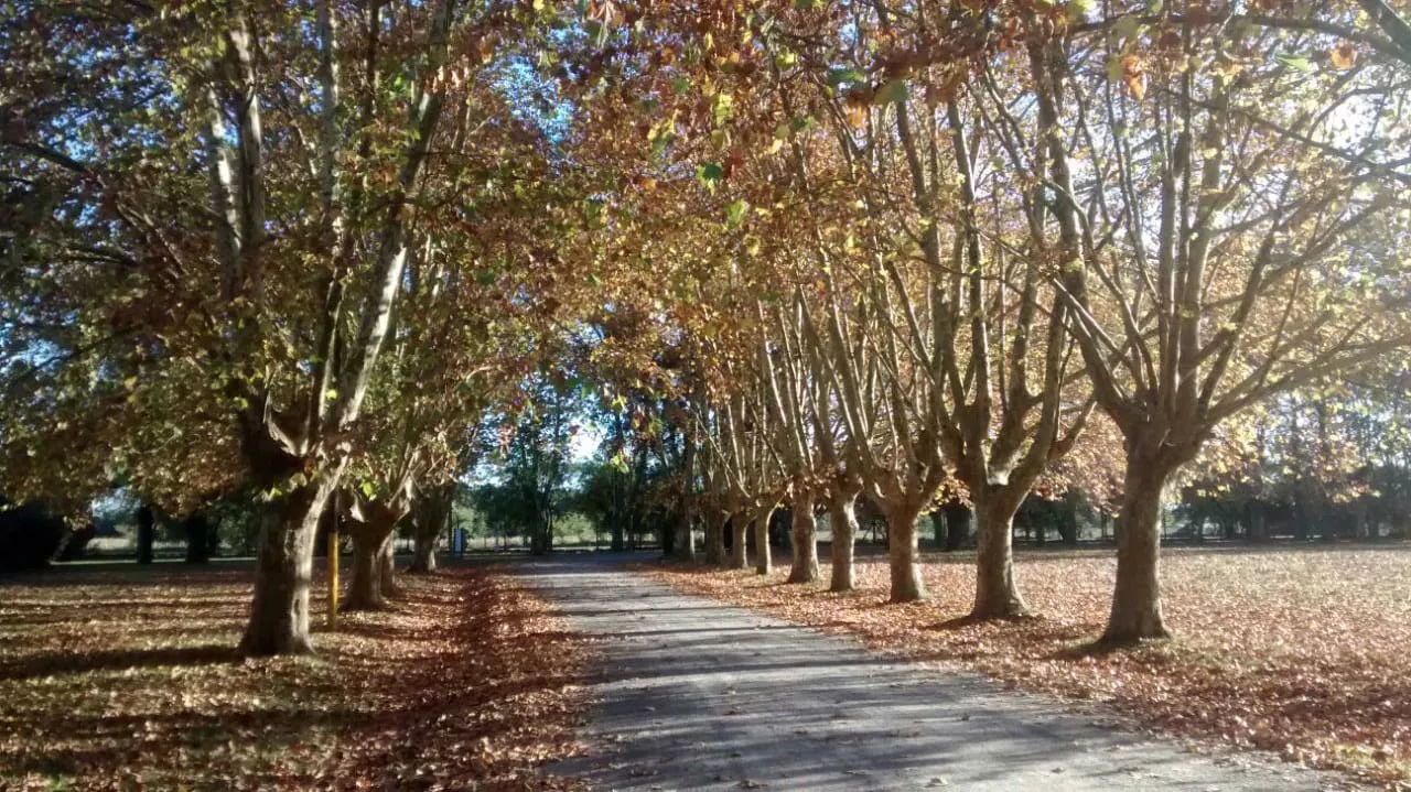 Otoño by LNM