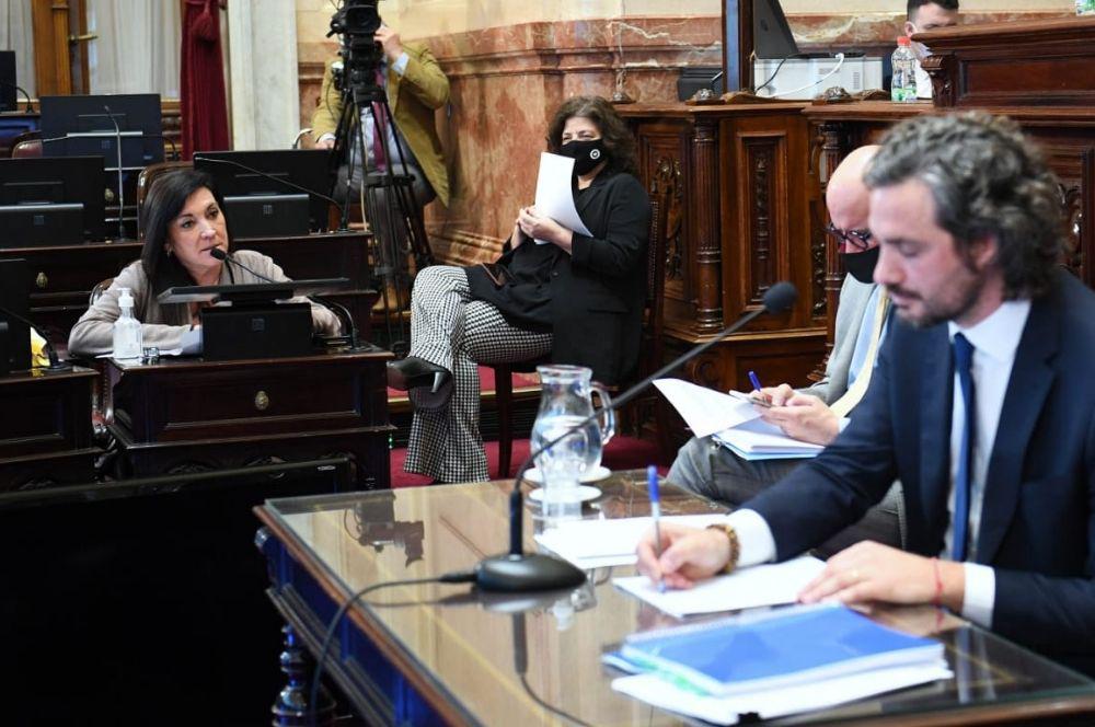 Rodriguez Machado exposición de Cafiero en el Senado