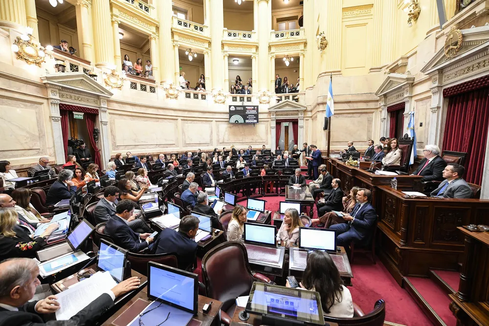 Cámara de Senadores de la Nación (X del Senado)