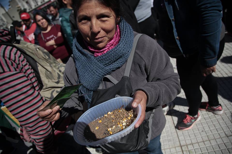 Semillazo by canal abierto