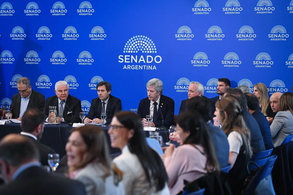 Bausili en el SEnado SEnado Argentina