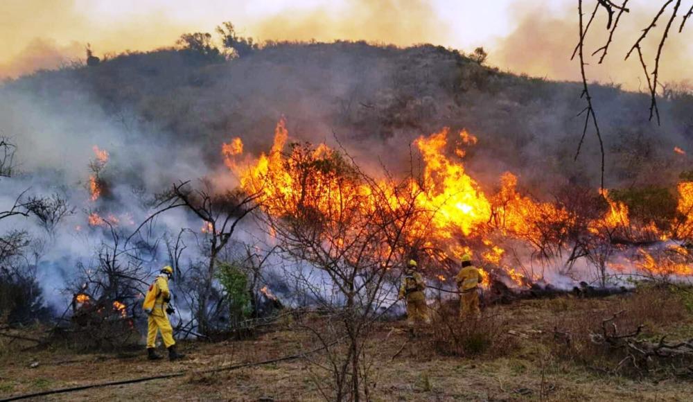 Incendio en el Norte by gentileza